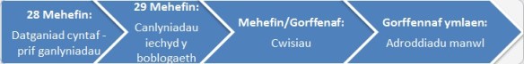 Llinell amser yn dangos dyddiadau cyhoeddi: 28 Mehefin - Datganiad cyntaf - prif ganlyniadau, 29 Mehefin - Canlyniadau iechyd y boblogaeth, Mehefin/Gorffenaf - Cwisiau, Gorffennaf ymlaen - Adroddiadu manwl