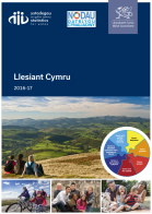 Llesiant Cymru: Cofnod adroddiad