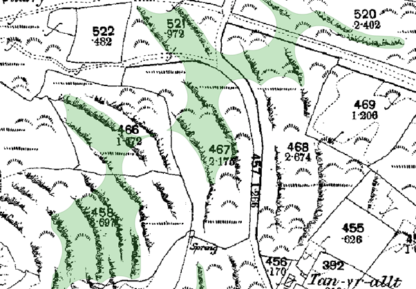 Ffigur 3. Tir wedi'i gamlabelu gan AI fel coetir